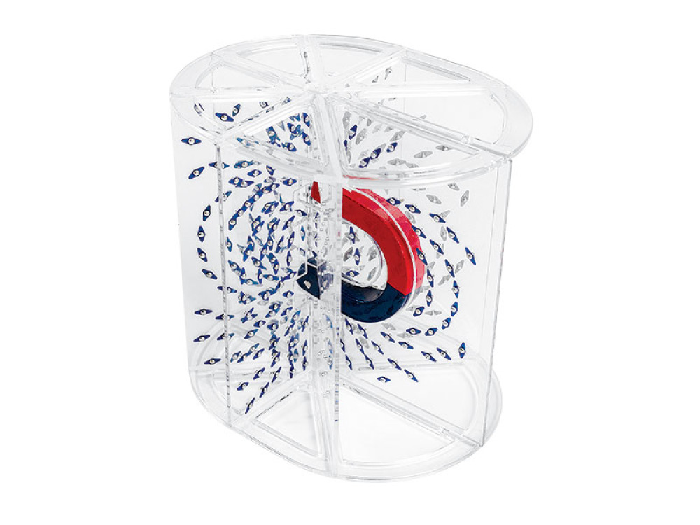 Magnetic field lines