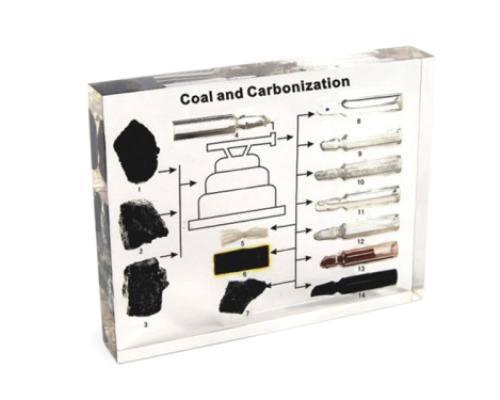 Coal - sources and products of its processing in plexiglass
