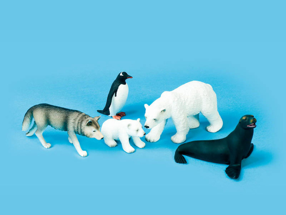 Polar animals