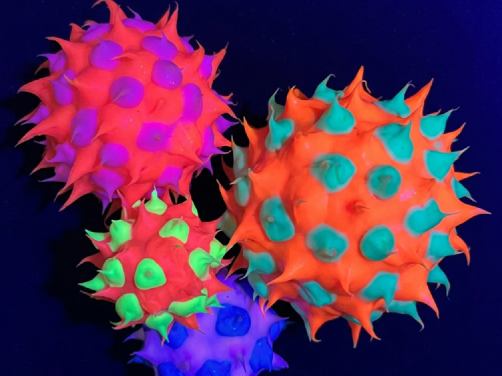 UV Spine Balls – Pack of 4
