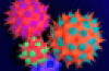 UV Spine Balls – Pack of 4