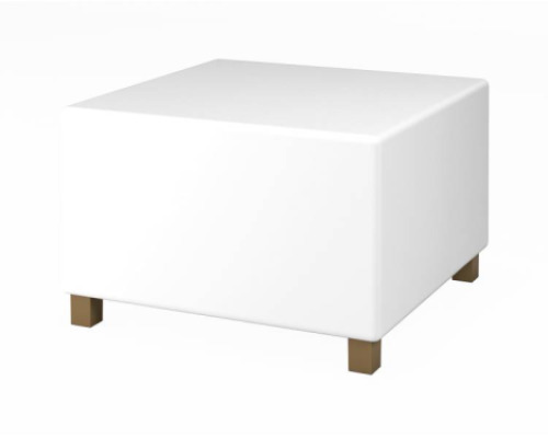 High platform module. White world experience room