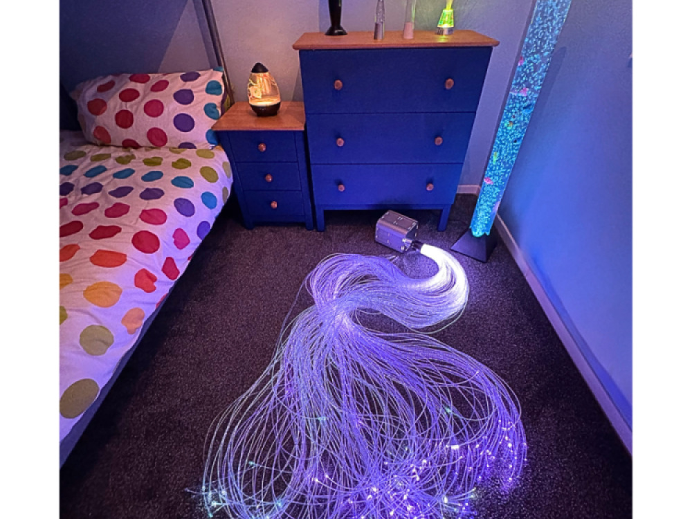 Fibre Optic 45w Twinkle Light Source