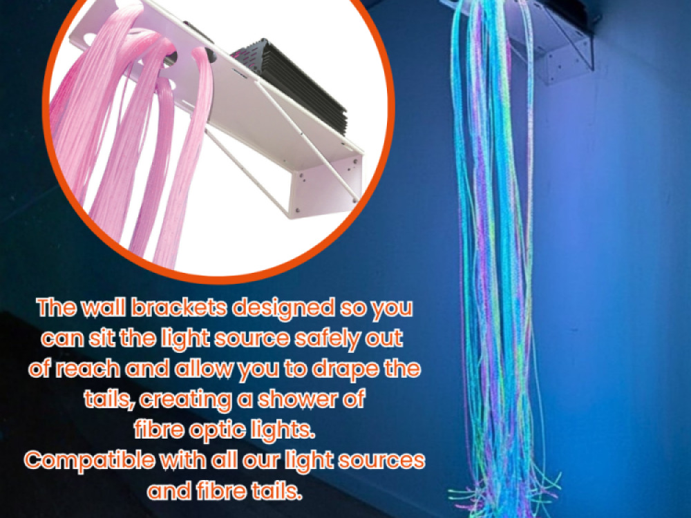 Fibre Optic 45w Twinkle Light Source