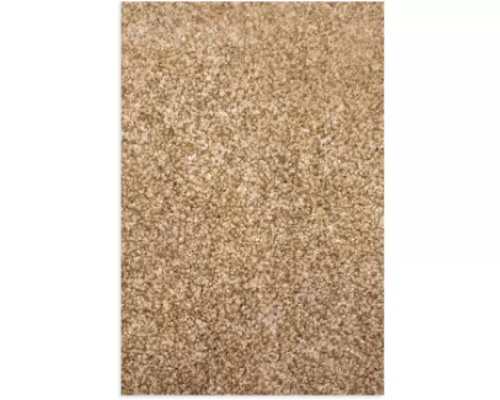 Carpet light beige heat set frise 3x4