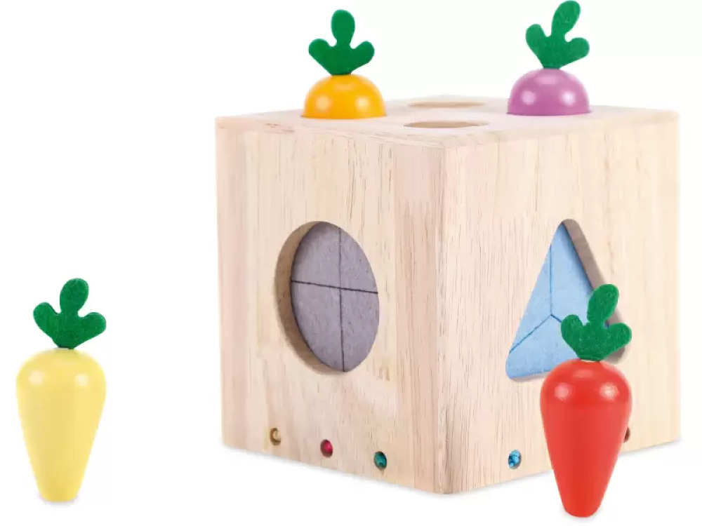 Explorer?s box. Sensory geometric shape sorter