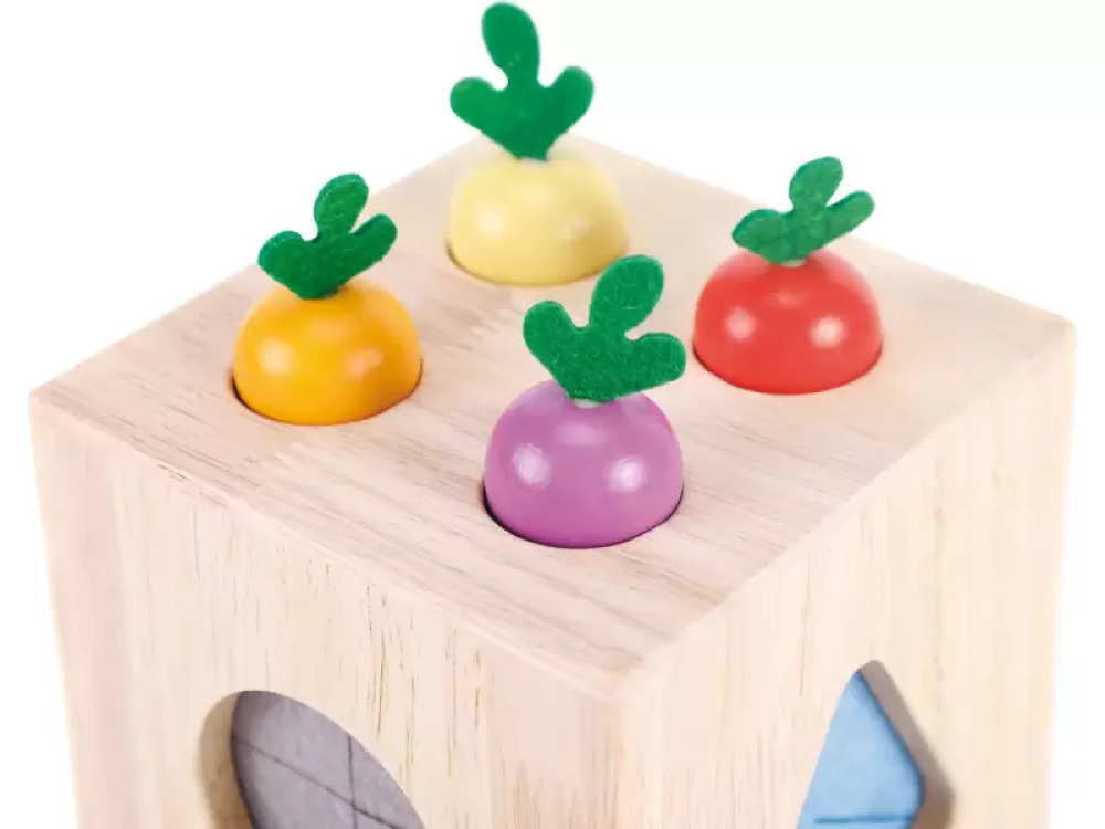 Explorer?s box. Sensory geometric shape sorter