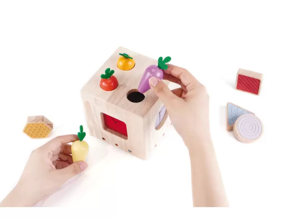 Explorer?s box. Sensory geometric shape sorter