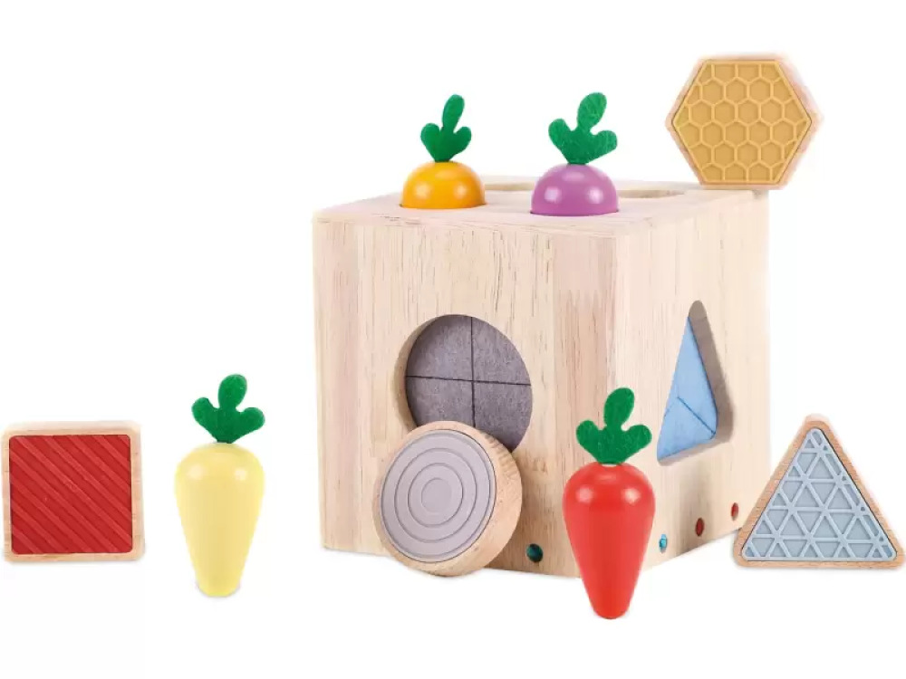 Explorer?s box. Sensory geometric shape sorter