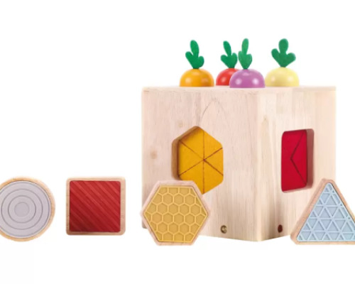 Explorer?s box. Sensory geometric shape sorter