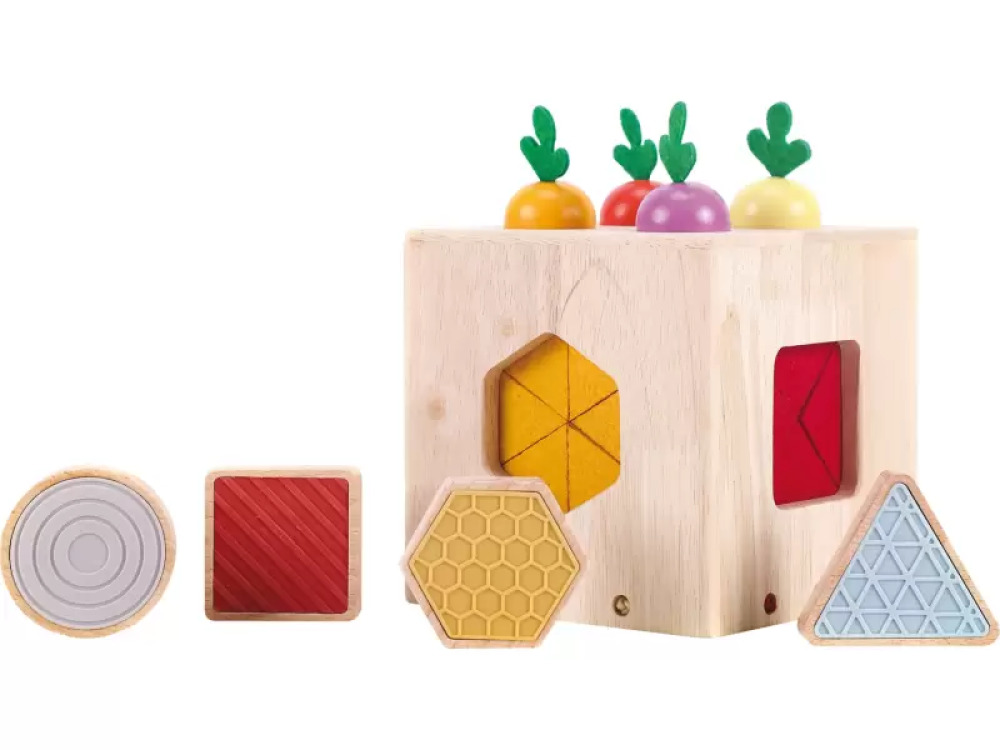 Explorer?s box. Sensory geometric shape sorter