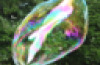 1lt Bubbles