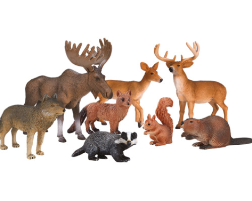 Forest animals