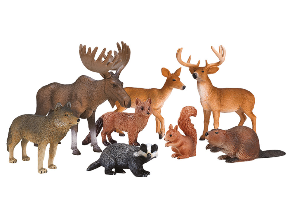 Forest animals