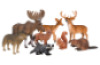 Forest animals