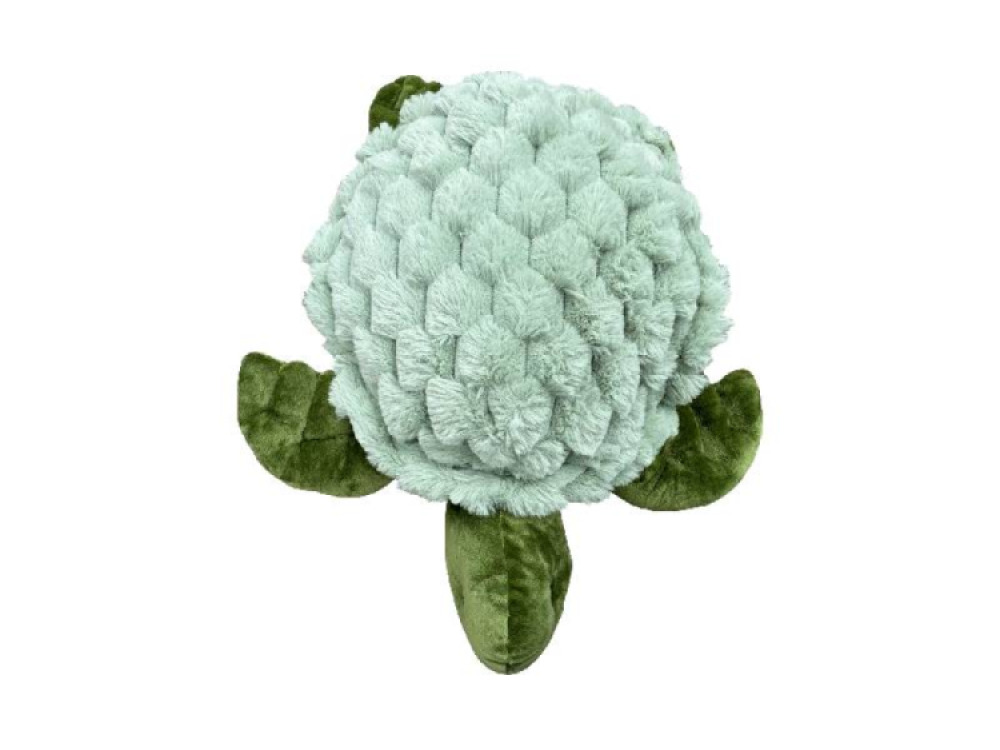 Weighted Turtle 1.6kg