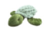 Weighted Turtle 1.6kg