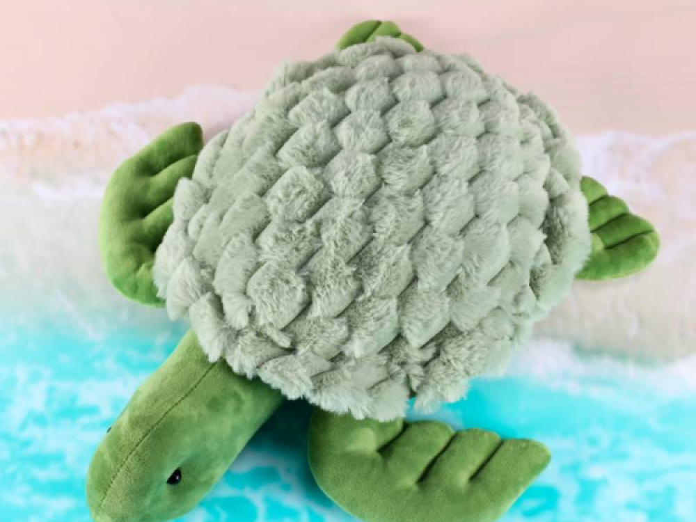 Weighted Turtle 1.6kg