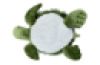 Weighted Turtle 1.6kg
