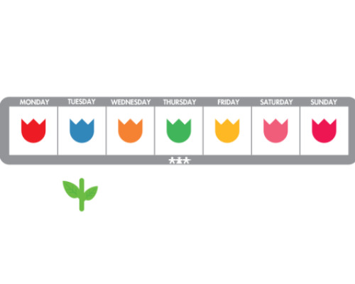 Dalton Plan. Magnetic Week Planner. Tulips