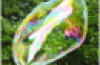 Bubble wand assort.