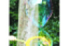 Bubble wand assort.