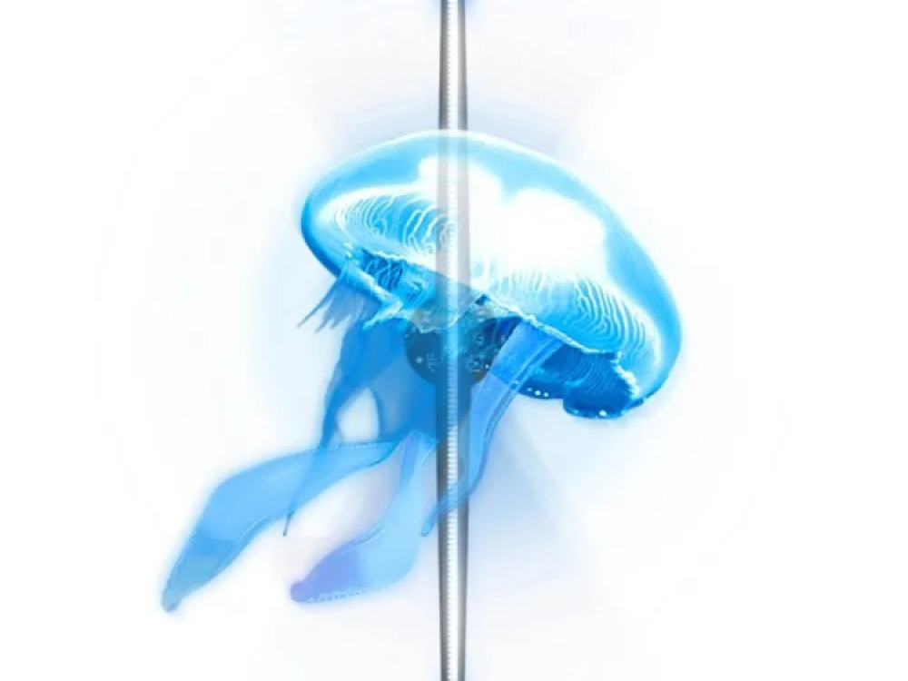 3D Hologram – 52cm