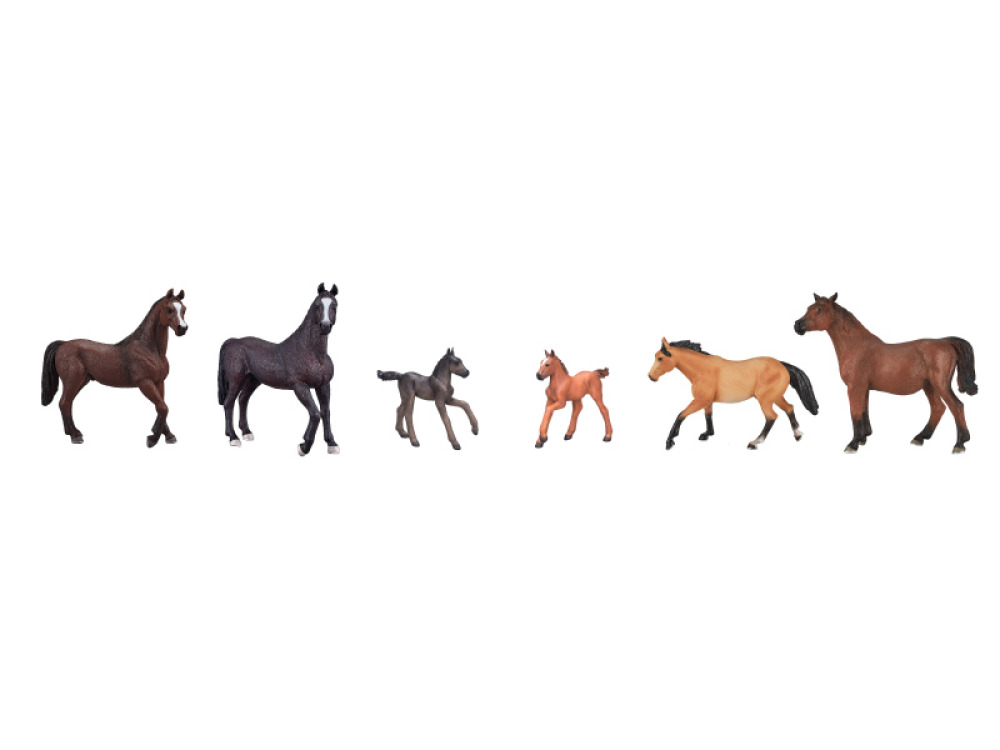 Horses animals