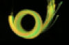 Fibre Optic Wand with  Coloured Tails
