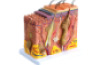 Human skin model