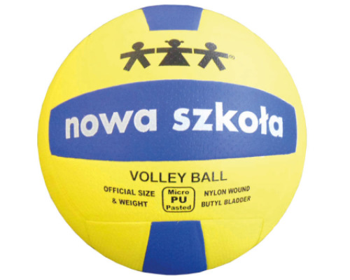 Volleyball (size 5)