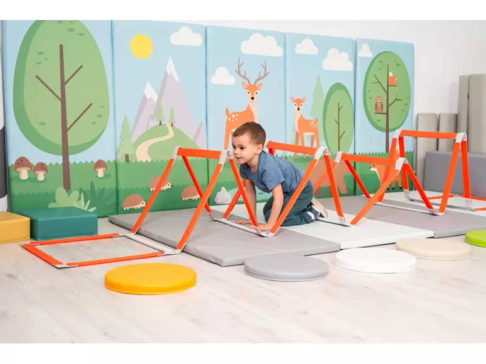 Foldable ladder