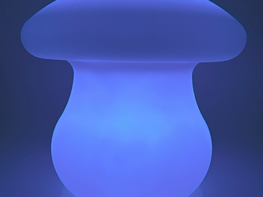 Colour changing Mushroom