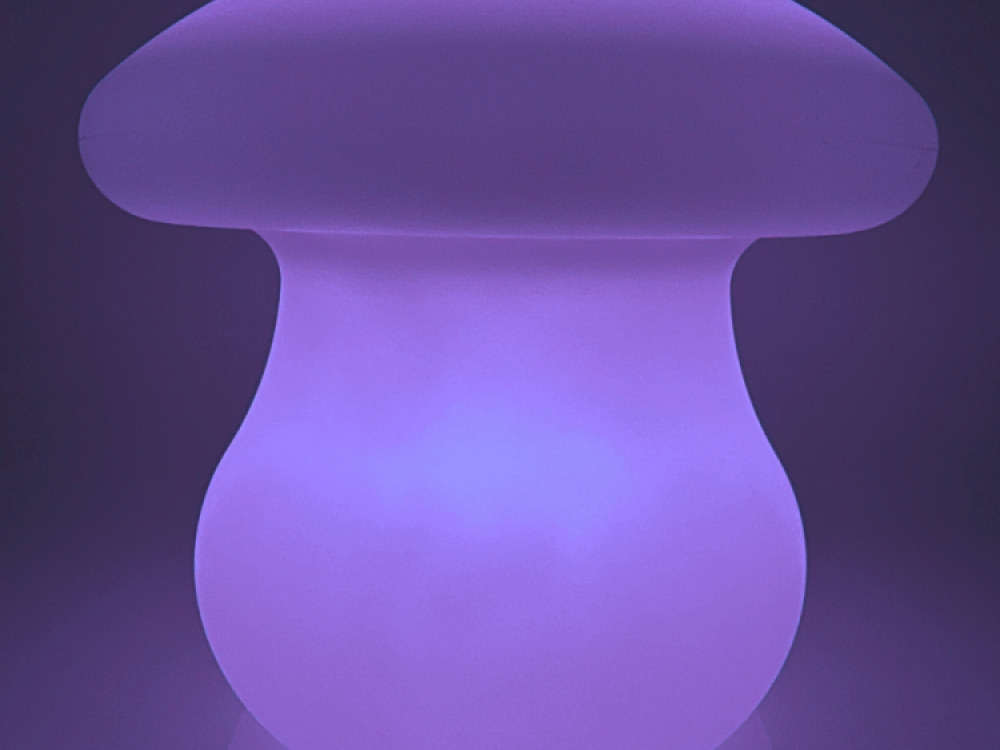 Colour changing Mushroom