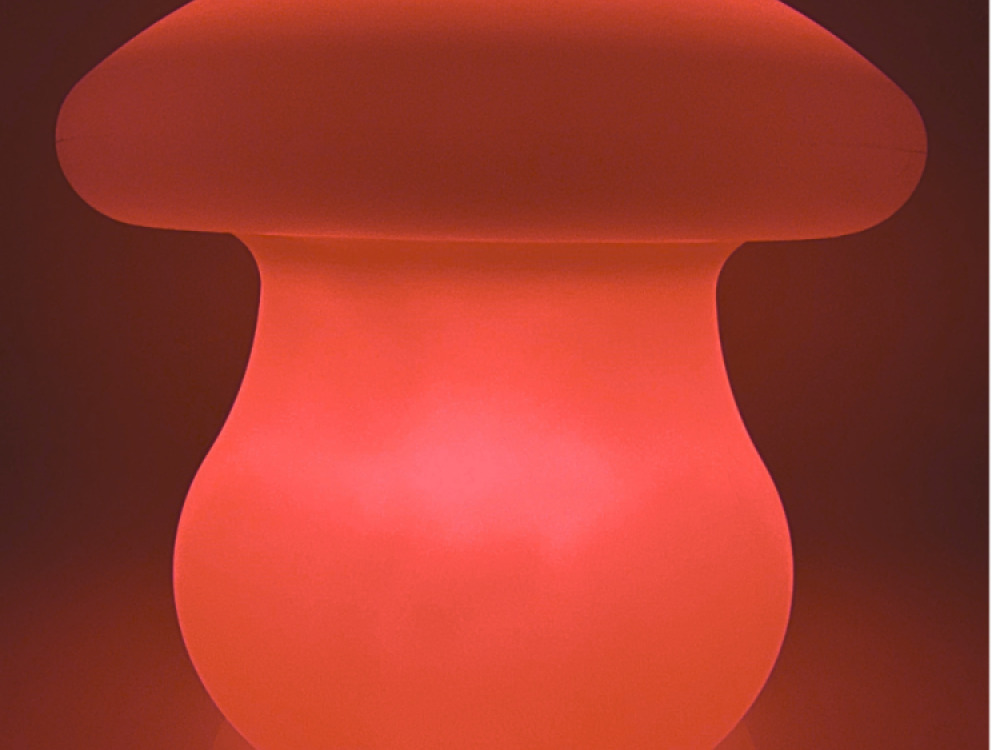 Colour changing Mushroom