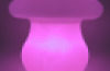 Colour changing Mushroom