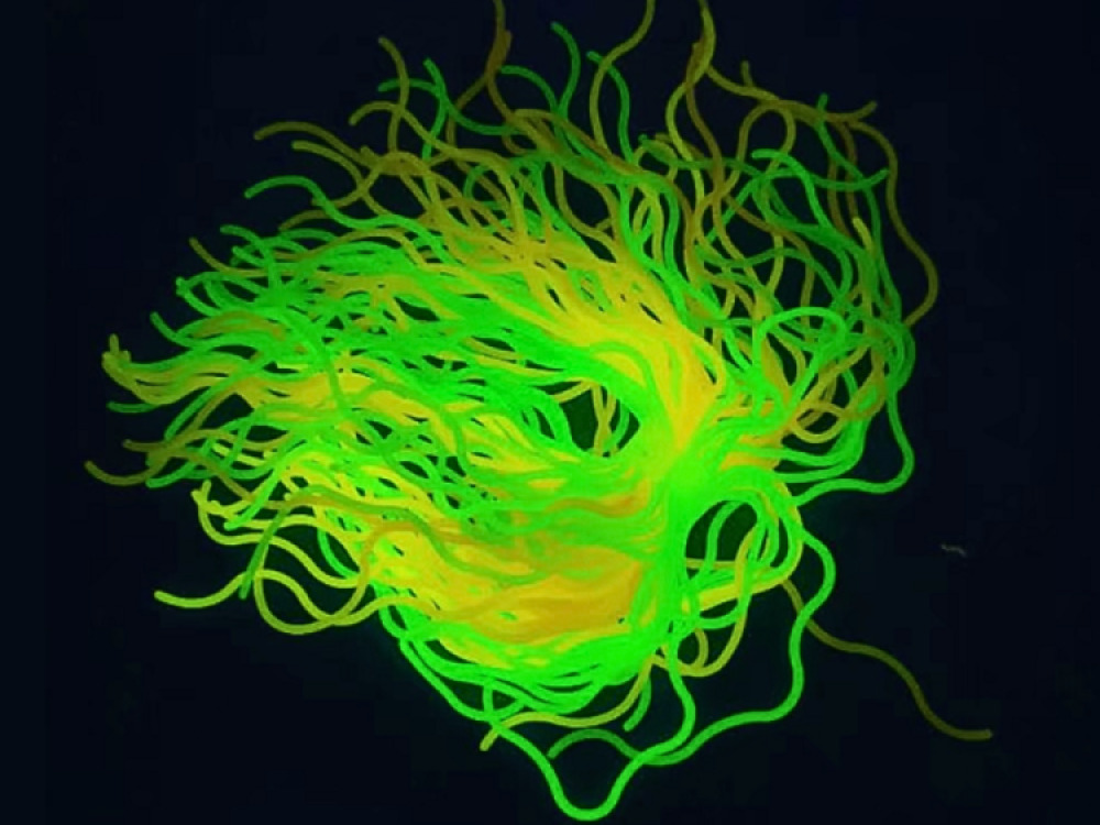 Wavy glow Spaghetti strings