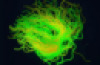 Wavy glow Spaghetti strings