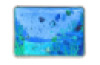 AQUATIC WATER PADS