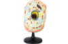 Animal cell model