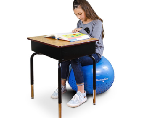 Dual Texture Balance Ball