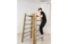 360 Climbing ladder