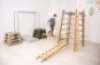 360 Climbing ladder