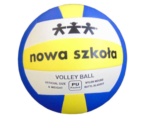 Volleyball (size 5)