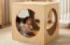 Mirror Cube House