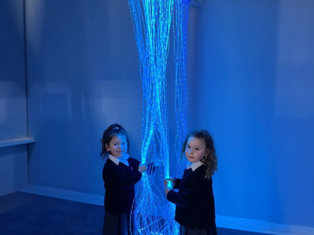 Fibre Optic Curtain with Tails With Swing Bracket (100 Fibre Tails)