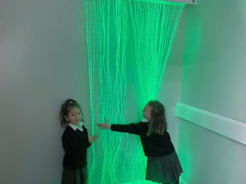 Fibre Optic Curtain with Tails With Swing Bracket (100 Fibre Tails)
