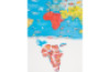 Magnetic world map. Two-sided