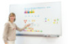 MATH counters & Worksheets Magnetic sorting and counting set