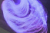 200 Fibre Optic Tails, 2m long